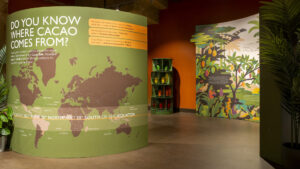 Anna Broadhurst  – Hotel Chocolat (illustrator, Meiklejohn)