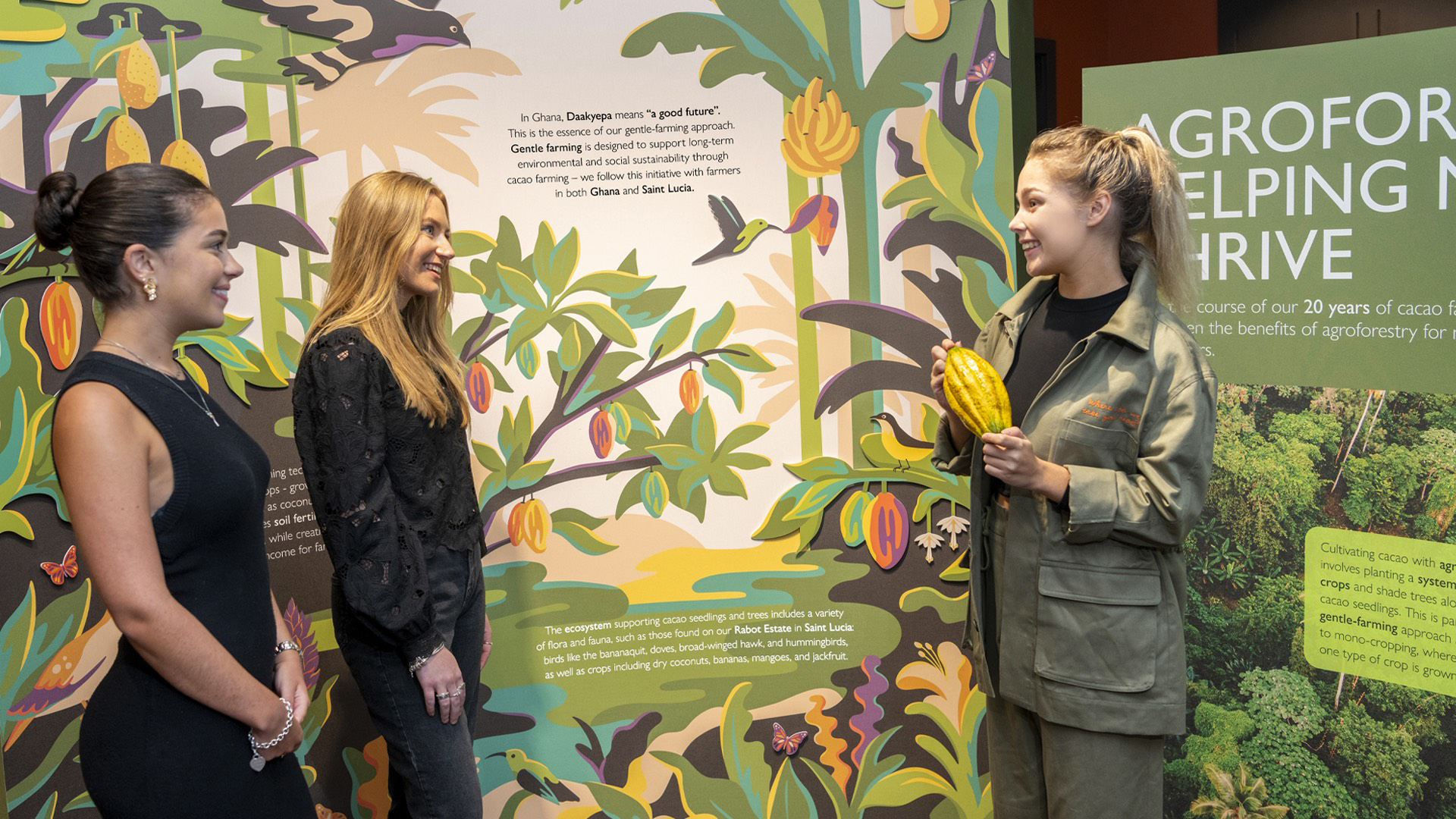 Anna Broadhurst  – Hotel Chocolat (illustrator, Meiklejohn)