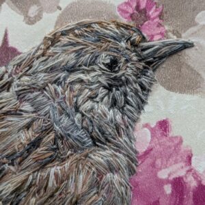 Dunnock Close Up 1