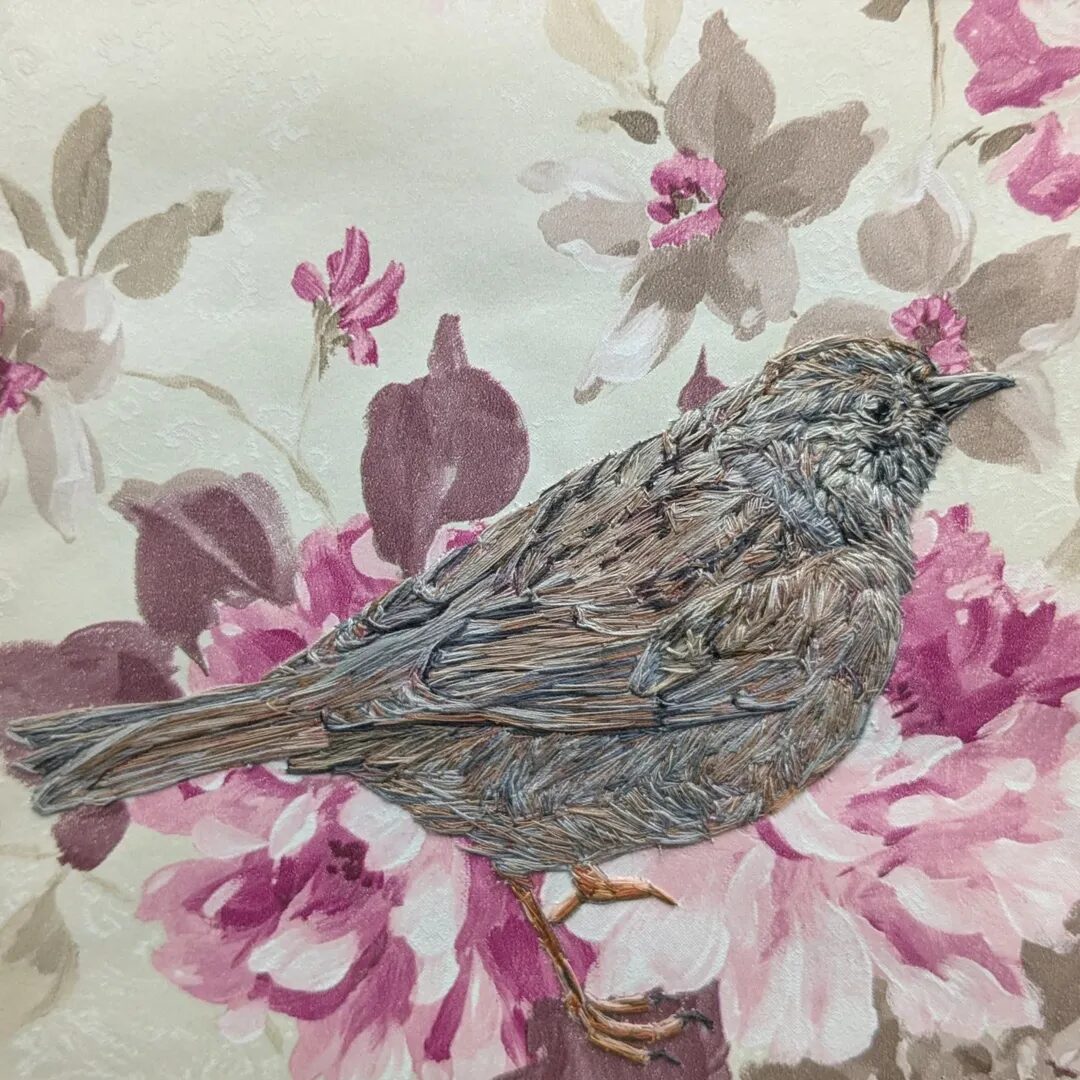 Dunnock – Emily Tull (Exhibitions, illustrator) - Emily Tull (Artist Partners Ltd, Exhibitions, illustrator) Emily Tull (Artist Partners Ltd, Exhibitions, illustrator)