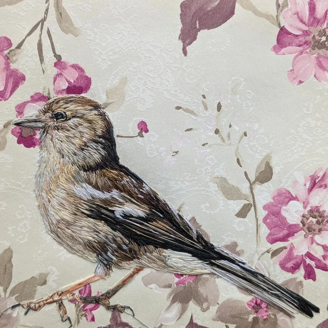 Female Chaffinch – Emily Tull (Exhibitions, illustrator) - Emily Tull (Artist Partners Ltd, Exhibitions, illustrator) Emily Tull (Artist Partners Ltd, Exhibitions, illustrator)