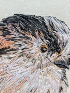 Long Tailed Tit Close Up 1