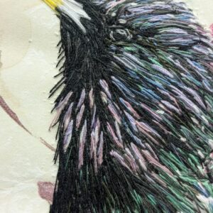 Emily Tull (Artist Partners Ltd, Exhibitions, illustrator)