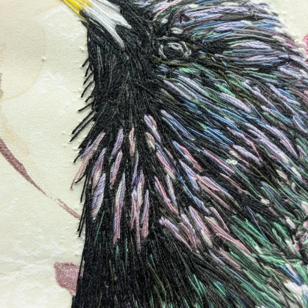 Starling Close Up 1 – Emily Tull (Exhibitions, illustrator) - Emily Tull (Artist Partners Ltd, Exhibitions, illustrator) Emily Tull (Artist Partners Ltd, Exhibitions, illustrator)