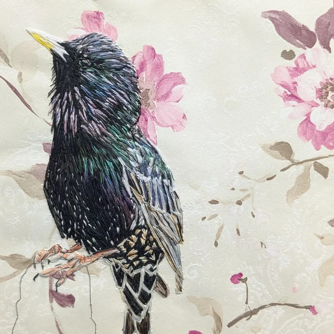 Starling – Emily Tull (Exhibitions, illustrator) - Emily Tull (Artist Partners Ltd, Exhibitions, illustrator) Emily Tull (Artist Partners Ltd, Exhibitions, illustrator)