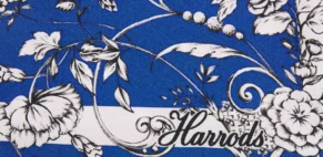 Svetlana Molodchenko – Harrods (Illustration Ltd, illustrator)