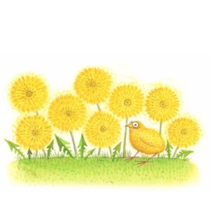 Clare Mackie (Artist Partners Ltd, illustrator)