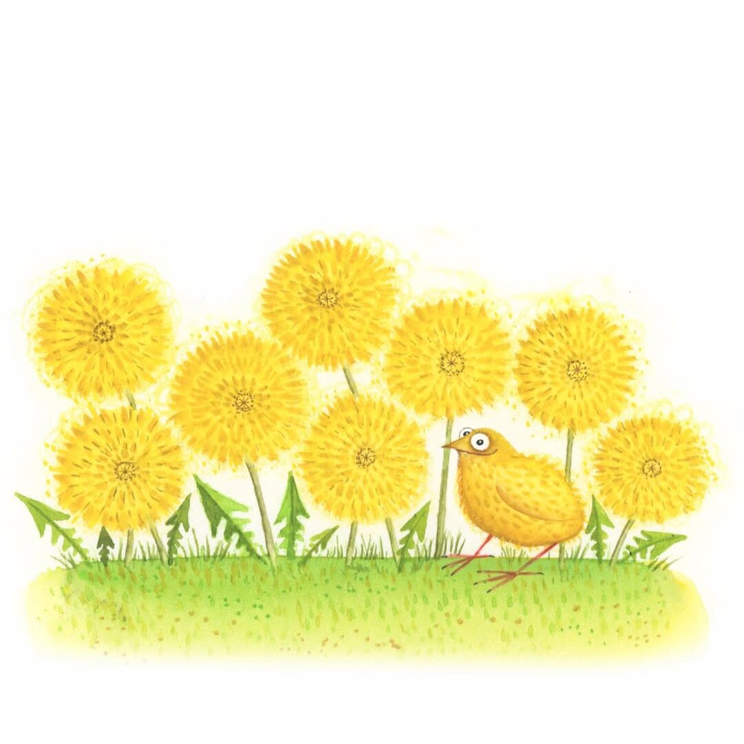 Clare Mackie (Artist Partners Ltd, illustrator)