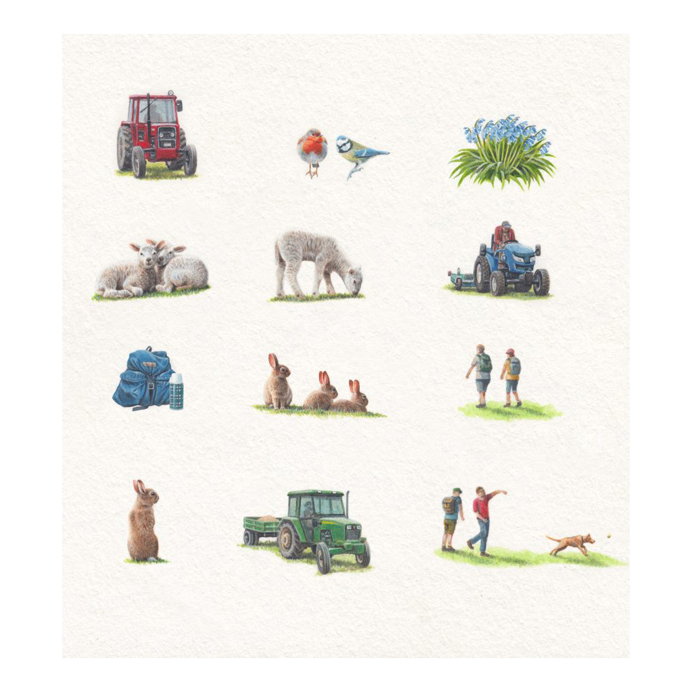 Andrew Hutchinson for Yorkshire Tea (Design Projects, Illustration Ltd, illustrator)