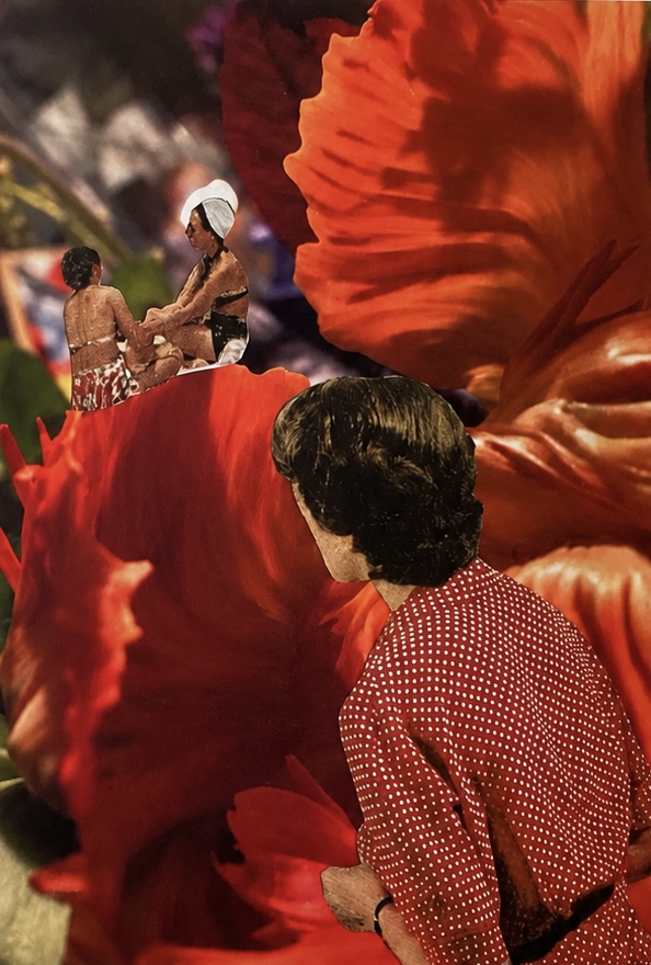 Julie Westbury (Artist Partners Ltd, Exhibitions, illustrator)