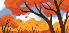 Lucy Davey for Flock Cards (Design Projects, illustrator, The Artworks)