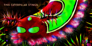 GARETH LUCAS – ABRAMS APPLESEED