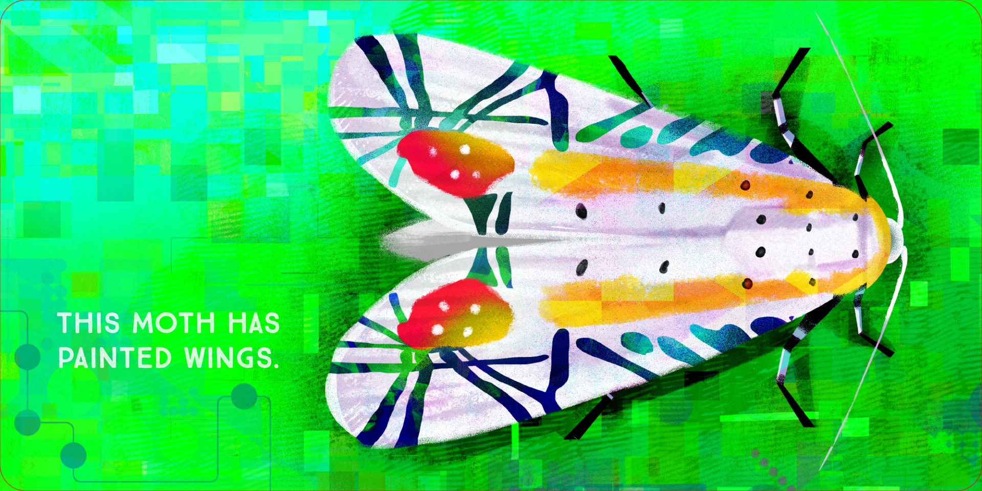 GARETH LUCAS – ABRAMS APPLESEED