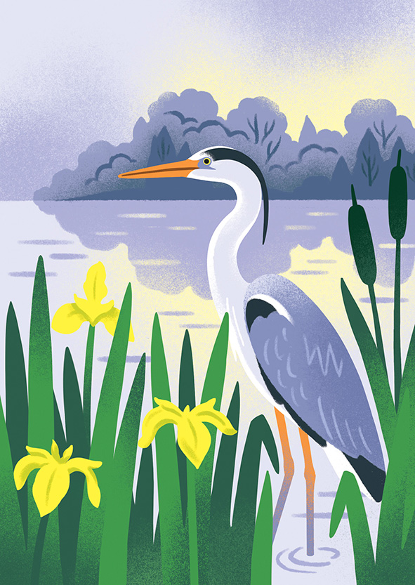 Lucy Davey for Flock Cards (Design Projects, illustrator, The Artworks)