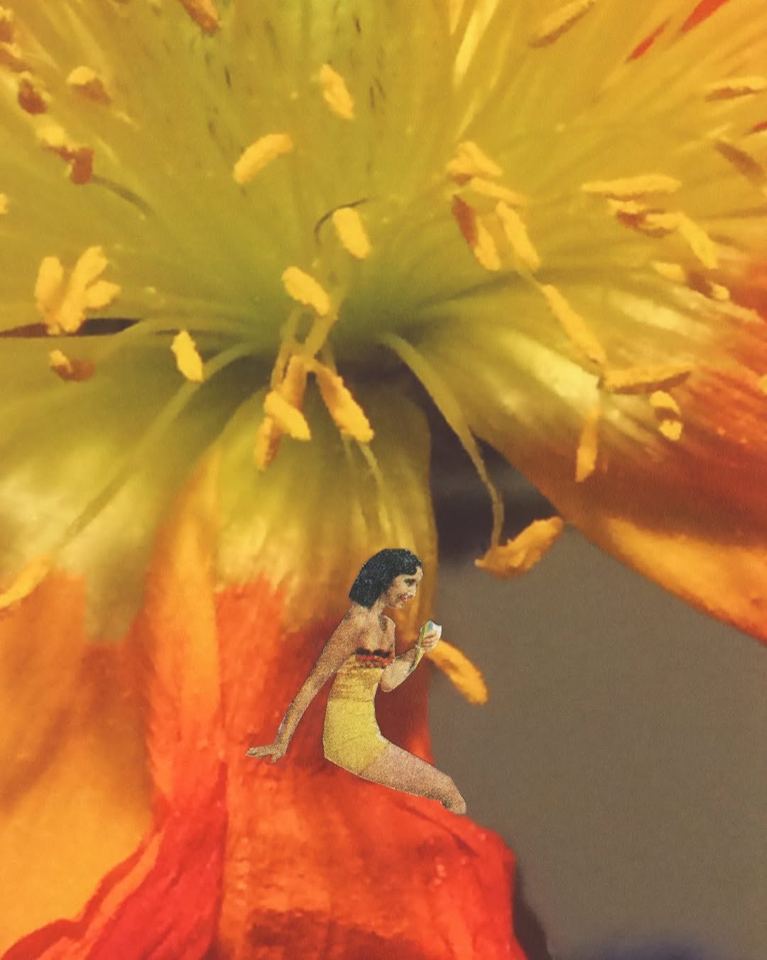 Julie Westbury (Artist Partners Ltd, Exhibitions, illustrator)