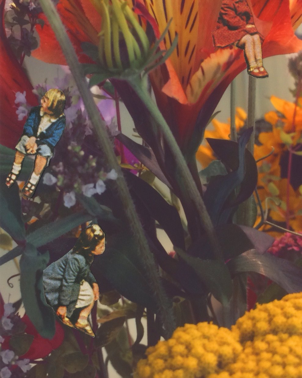 Julie Westbury (Artist Partners Ltd, Exhibitions, illustrator)