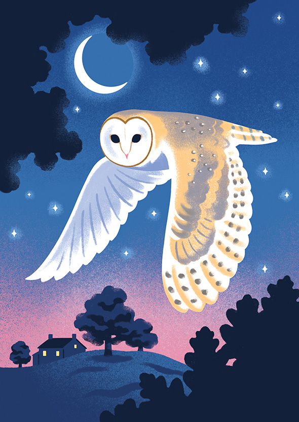 Owl LOW – Lucy Davey for Flock Cards (Design Projects, illustrator, The Artworks) Lucy Davey for Flock Cards (Design Projects, illustrator, The Artworks)