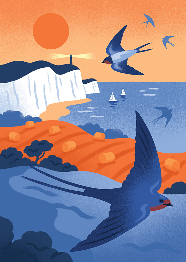 Lucy Davey for Flock Cards (Design Projects, illustrator, The Artworks)