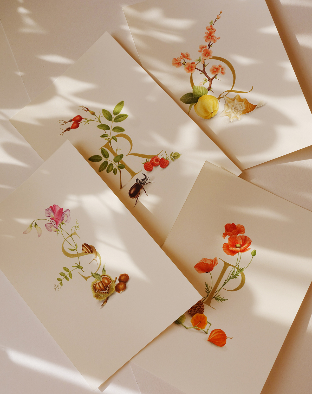 blog 6973 639155661199309592 – Jacquie Lawson – Svetlana Molodchenko (Design Projects, Illustration Ltd, illustrator) Jacquie Lawson – Svetlana Molodchenko (Design Projects, Illustration Ltd, illustrator)