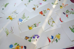 Jacquie Lawson –  Svetlana Molodchenko (Design Projects, Illustration Ltd, illustrator)