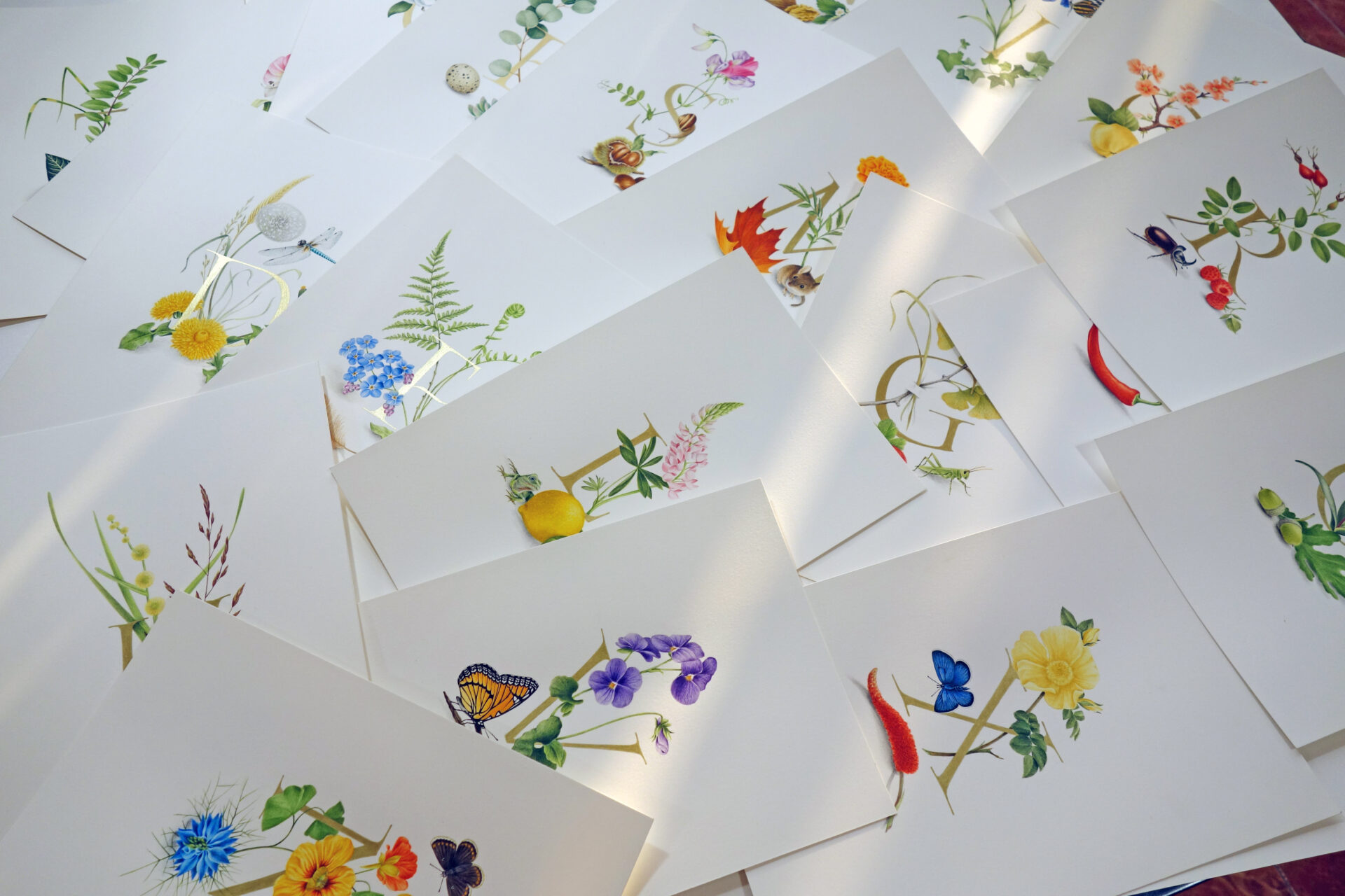 blog 6973 639155661624134855 – Jacquie Lawson – Svetlana Molodchenko (Design Projects, Illustration Ltd, illustrator) Jacquie Lawson – Svetlana Molodchenko (Design Projects, Illustration Ltd, illustrator)