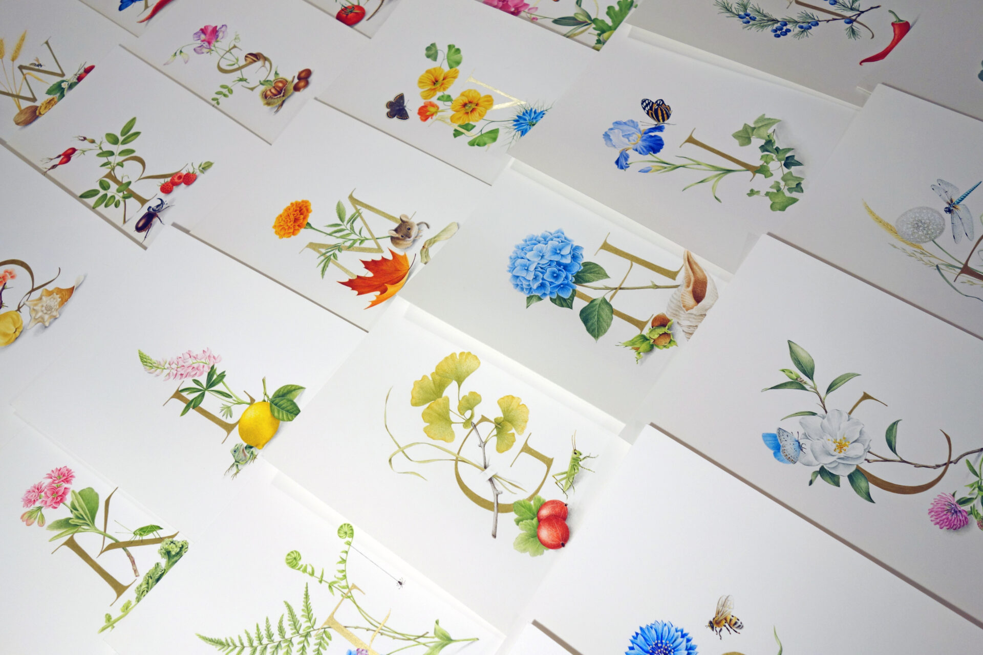 blog 6973 639155662026480497 – Jacquie Lawson – Svetlana Molodchenko (Design Projects, Illustration Ltd, illustrator) Jacquie Lawson – Svetlana Molodchenko (Design Projects, Illustration Ltd, illustrator)