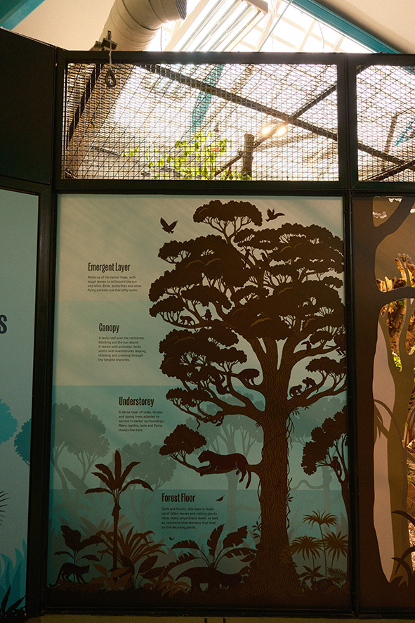 Laura Barrett for Dublin Zoo (Design Projects, illustrator, The Artworks)
