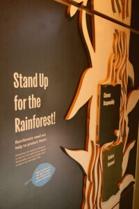 Laura Barrett for Dublin Zoo (Design Projects, illustrator, The Artworks)
