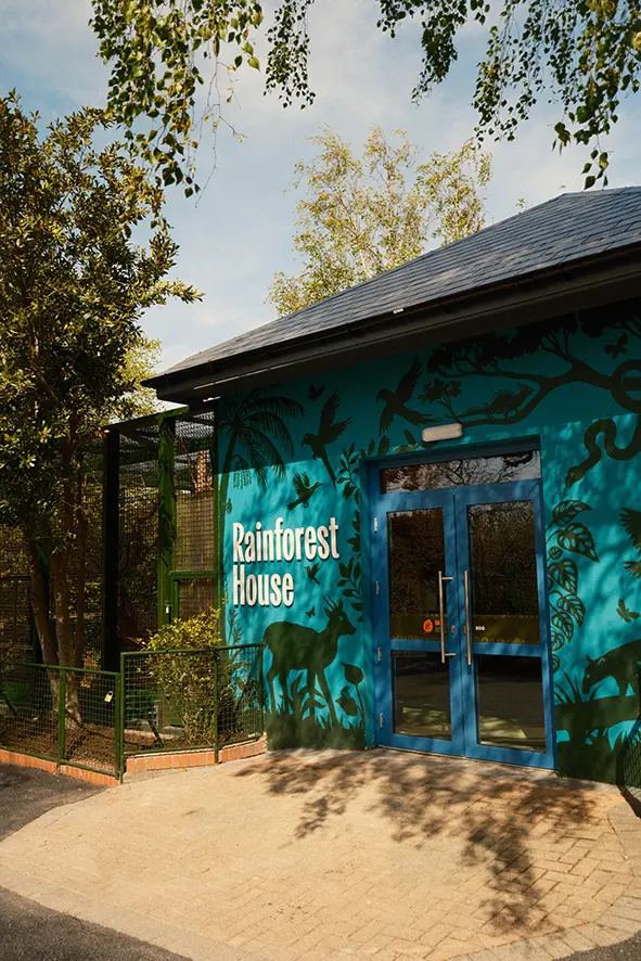Laura Barrett for Dublin Zoo (Design Projects, illustrator, The Artworks)