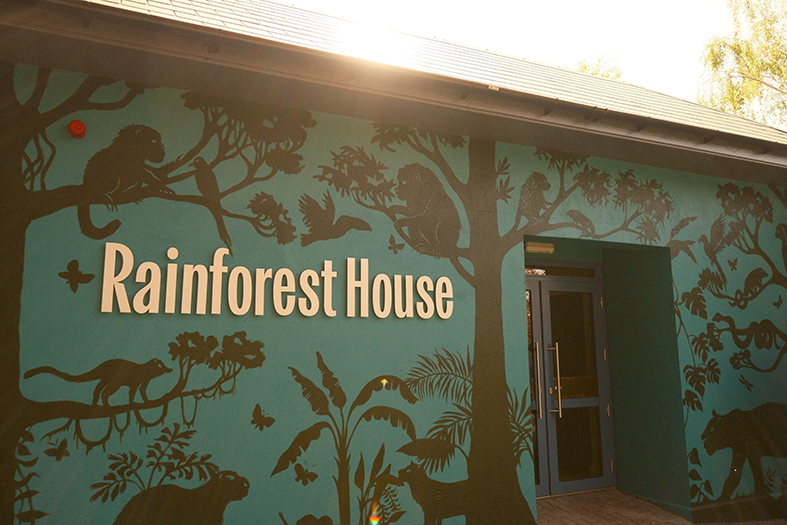 Laura Barrett for Dublin Zoo (Design Projects, illustrator, The Artworks)