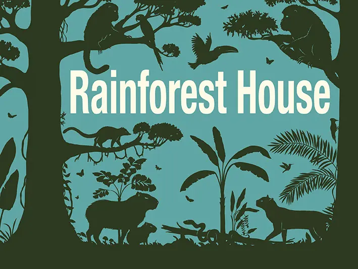Laura Barrett for Dublin Zoo (Design Projects, illustrator, The Artworks)