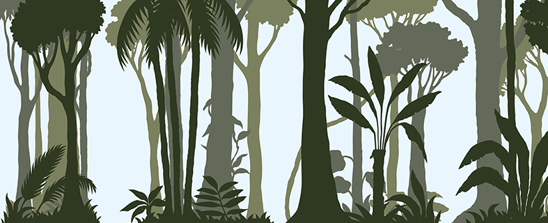 Laura Barrett for Dublin Zoo (Design Projects, illustrator, The Artworks)