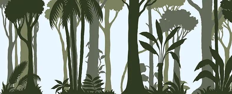 Laura Barrett for Dublin Zoo (Design Projects, illustrator, The Artworks)