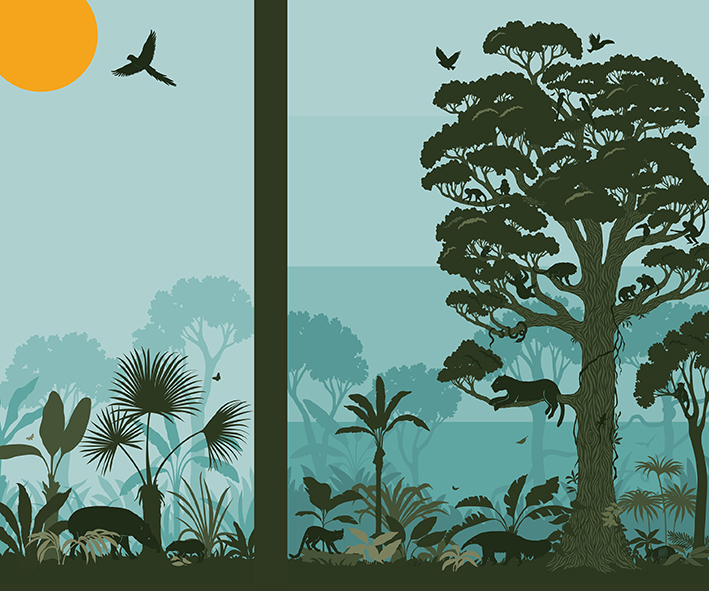 Laura Barrett for Dublin Zoo (Design Projects, illustrator, The Artworks)