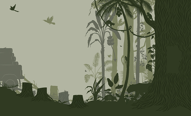 Laura Barrett for Dublin Zoo (Design Projects, illustrator, The Artworks)