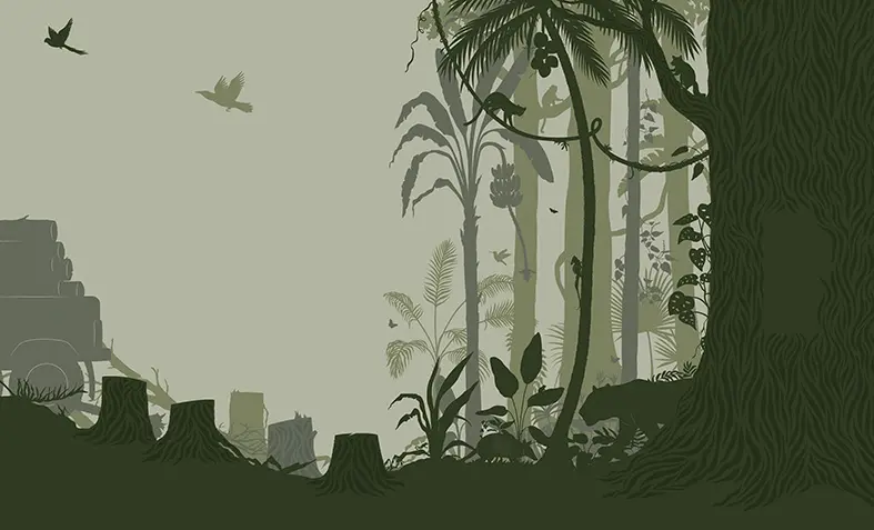 Laura Barrett for Dublin Zoo (Design Projects, illustrator, The Artworks)