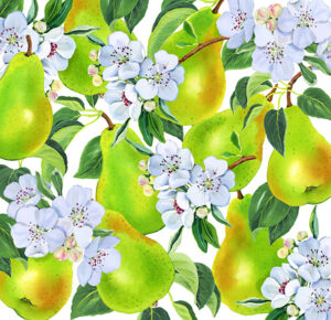 Mary Woodin’s delicious fruit drinks packaging (Design Projects, illustrator, The Artworks)