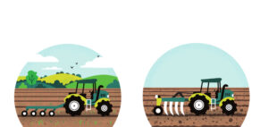 JAMES GIBBS – WAITROSE FARMS (illustrator, NB Illustration)