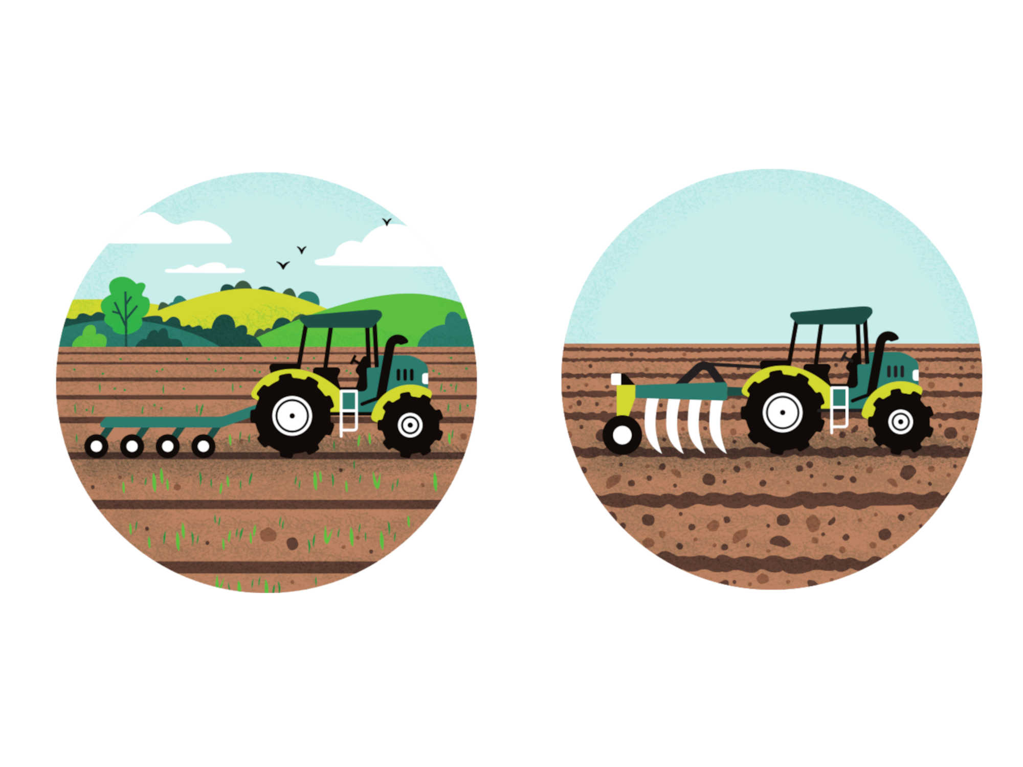 JAMES GIBBS – WAITROSE FARMS (illustrator, NB Illustration)